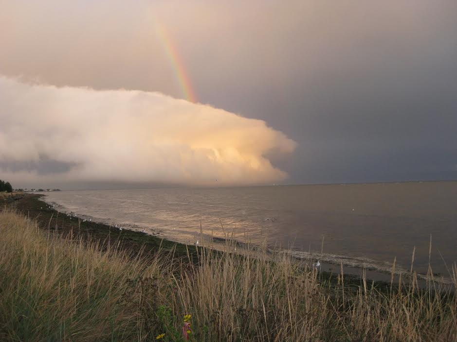 Bright Mornings In The Rain Shadow Olympic Rain Shadow Blog